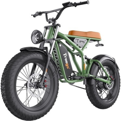 Ather 450X